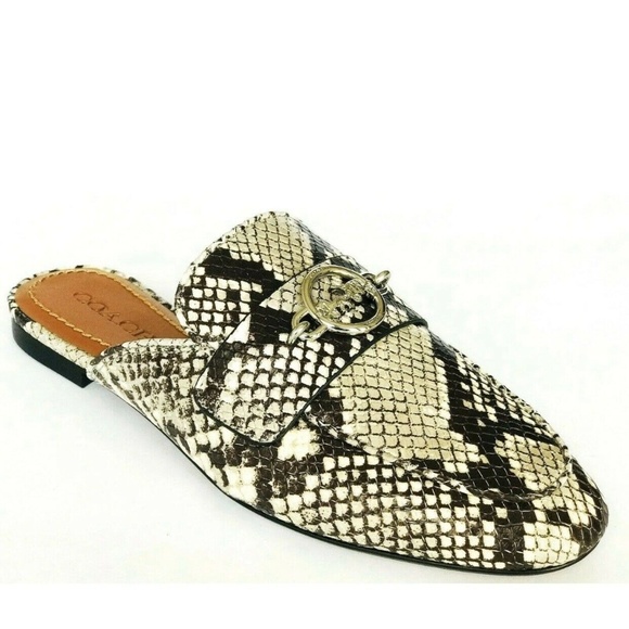 Coach Women's Scotty Slide 8 - Picture 1 of 3